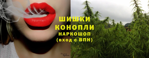 амф Переславль-Залесский