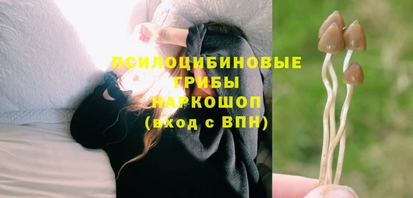 амф Переславль-Залесский