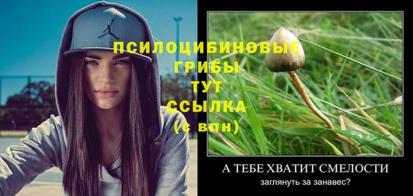 PSILOCYBIN Пестово