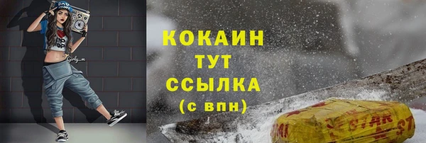 герыч Пересвет