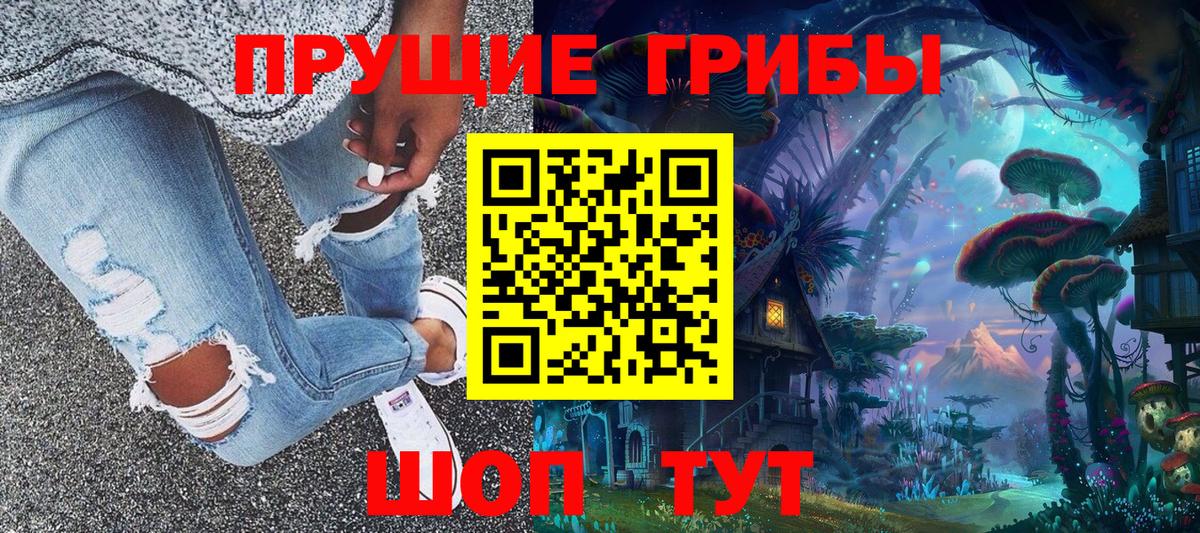 Псилоцибиновые грибы Psilocybine cubensis Тында